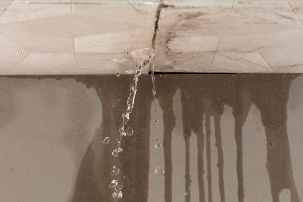 Professional Water Damage Restoration technician working in East Saint Louis, IL